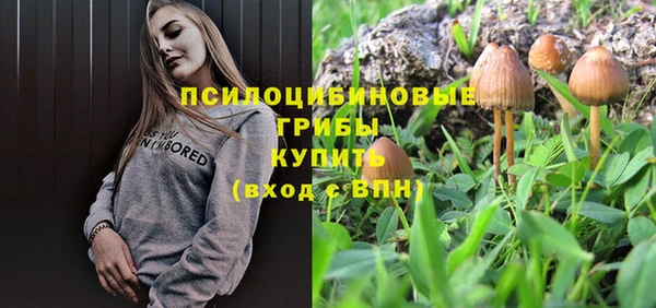 соль курить ск Краснослободск